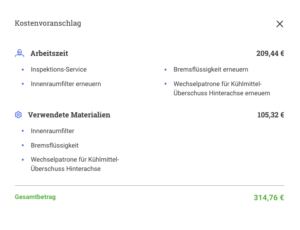 Inspektion Audi A3 e-tron Kosten & Intervalle